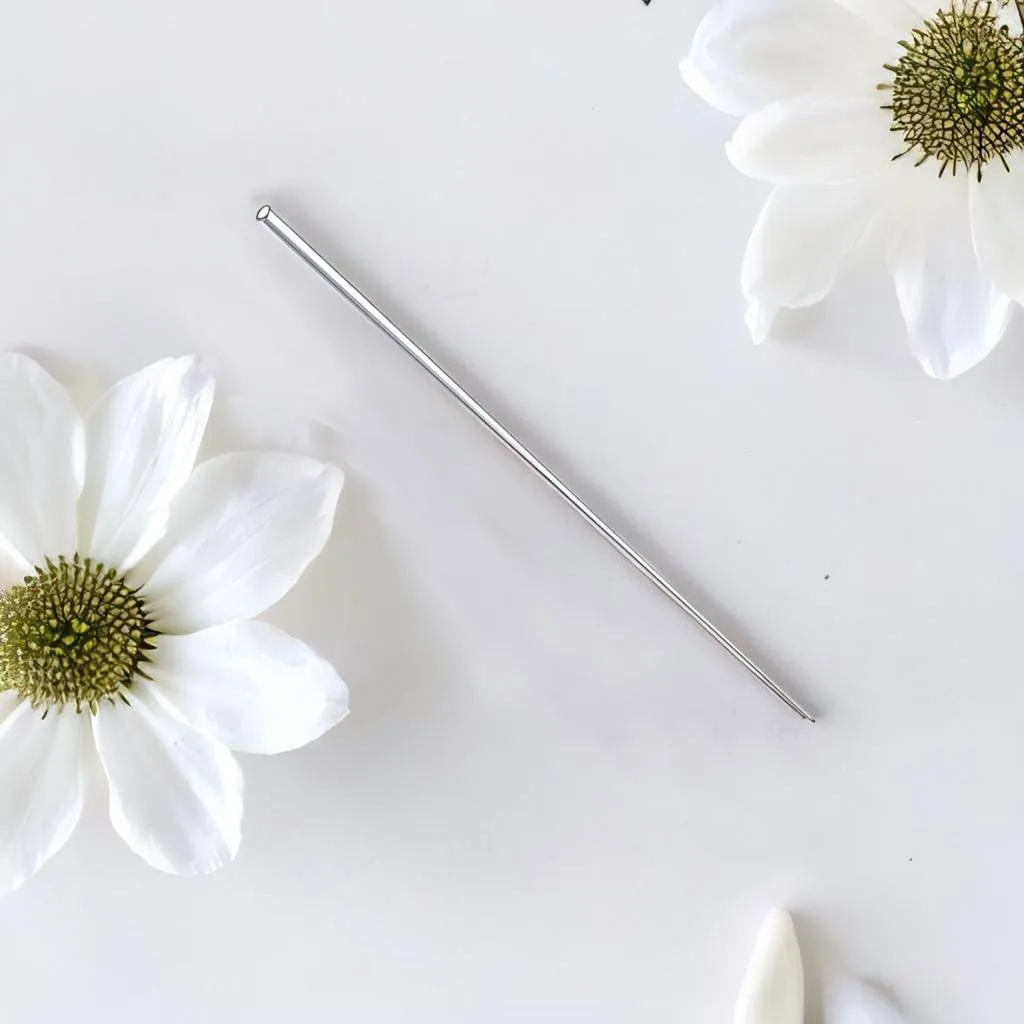 22G/20G/18G/16G/14G/12G/10G/8G/6G/4G/2G/0G/00G 316L Steel Taper Insertion Pin for Ear/Nose/Navel/Nipple/Lip/Eyebrow Stretcher, Body Piercing Stretching Kit Assistant Tool