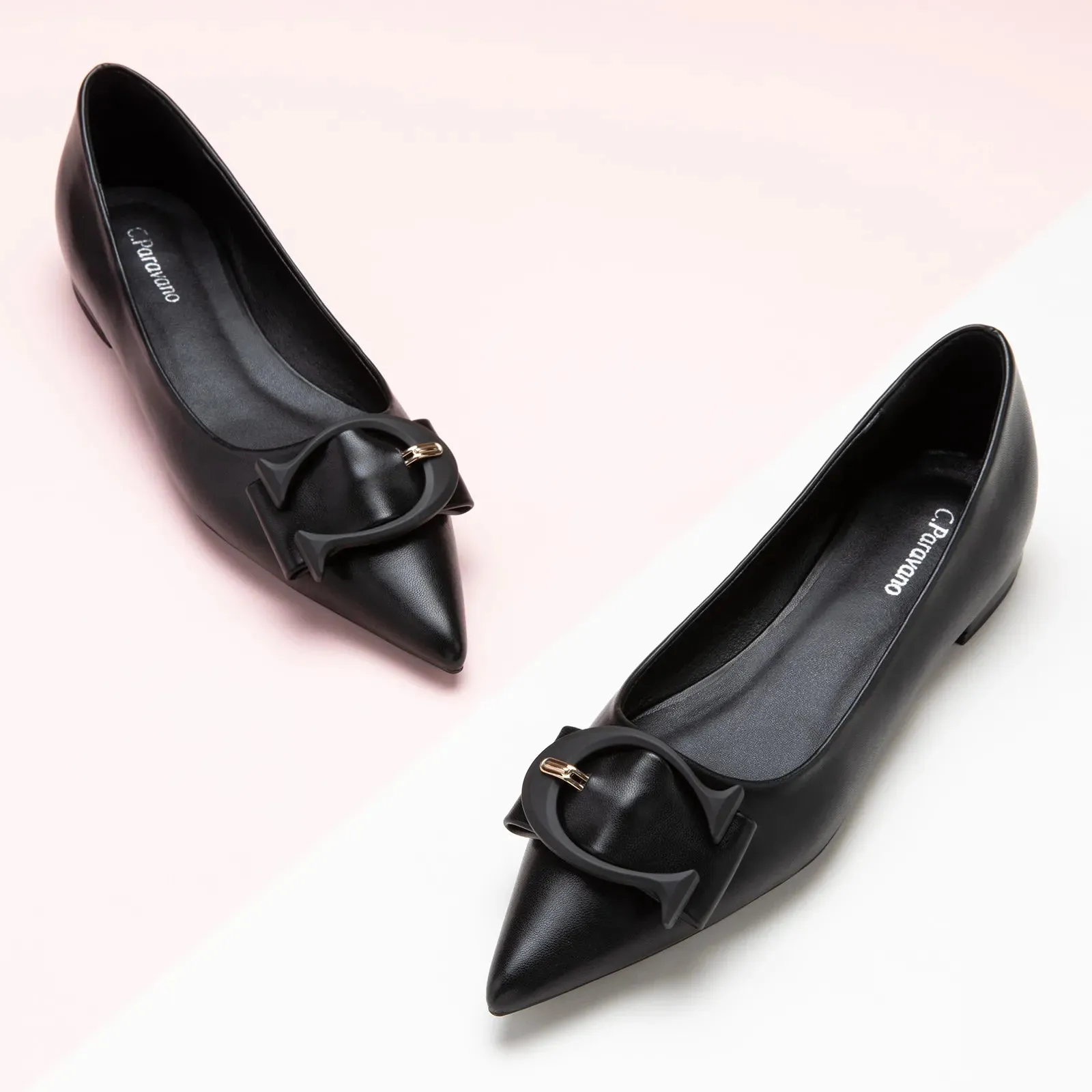 C Buckle Pointed Toe Flats (Aida)